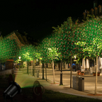 Proiettore LED da Giardino Luci Festive da Esterno