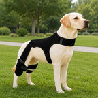 RearGuard Dog Rear Leg Support Brace - Fascia di supporto per zampe posteriori antiscivolo per cani anziani, pavimenti i