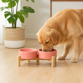 Ciotole doppie in ceramica con supporto rialzato in legno per cani