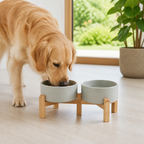 Ciotole doppie in ceramica con supporto rialzato in legno per cani