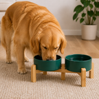 Ciotole doppie in ceramica con supporto rialzato in legno per cani