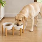 Ciotole doppie in ceramica con supporto rialzato in legno per cani