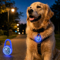 Luce LED di sicurezza ricaricabile con clip per cani per passeggiate notturne