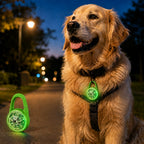 Luce LED di sicurezza ricaricabile con clip per cani per passeggiate notturne