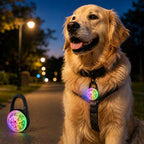 Luce LED di sicurezza ricaricabile con clip per cani per passeggiate notturne
