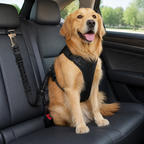 Pettorina di sicurezza auto per cani regolabile in rete traspirante