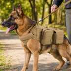 Pettorina tattica con zaino per cane per escursioni e passeggiate quotidiane – tasche rimovibili per attrezzatura e migl