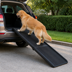 Rampa pieghevole lunga per cani con protezioni laterali (supporta 68 kg)