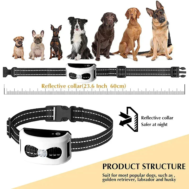 Recinto wireless per cani e collare da addestramento – IP65 impermeabile – Raggio 300 m – Ricaricabile – Per 1 o 2 cani