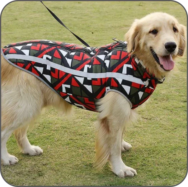 Cappotto invernale impermeabile per cani StormGuard