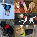 Cappotto per cani caldo e idrorepellente - WarmPaws