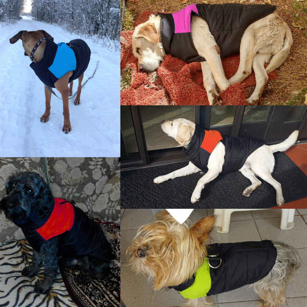 Cappotto per cani caldo e idrorepellente - WarmPaws