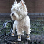Stivali da neve caldi per cani - SnowPaws