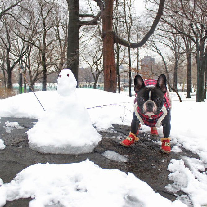Stivali da neve caldi per cani - SnowPaws