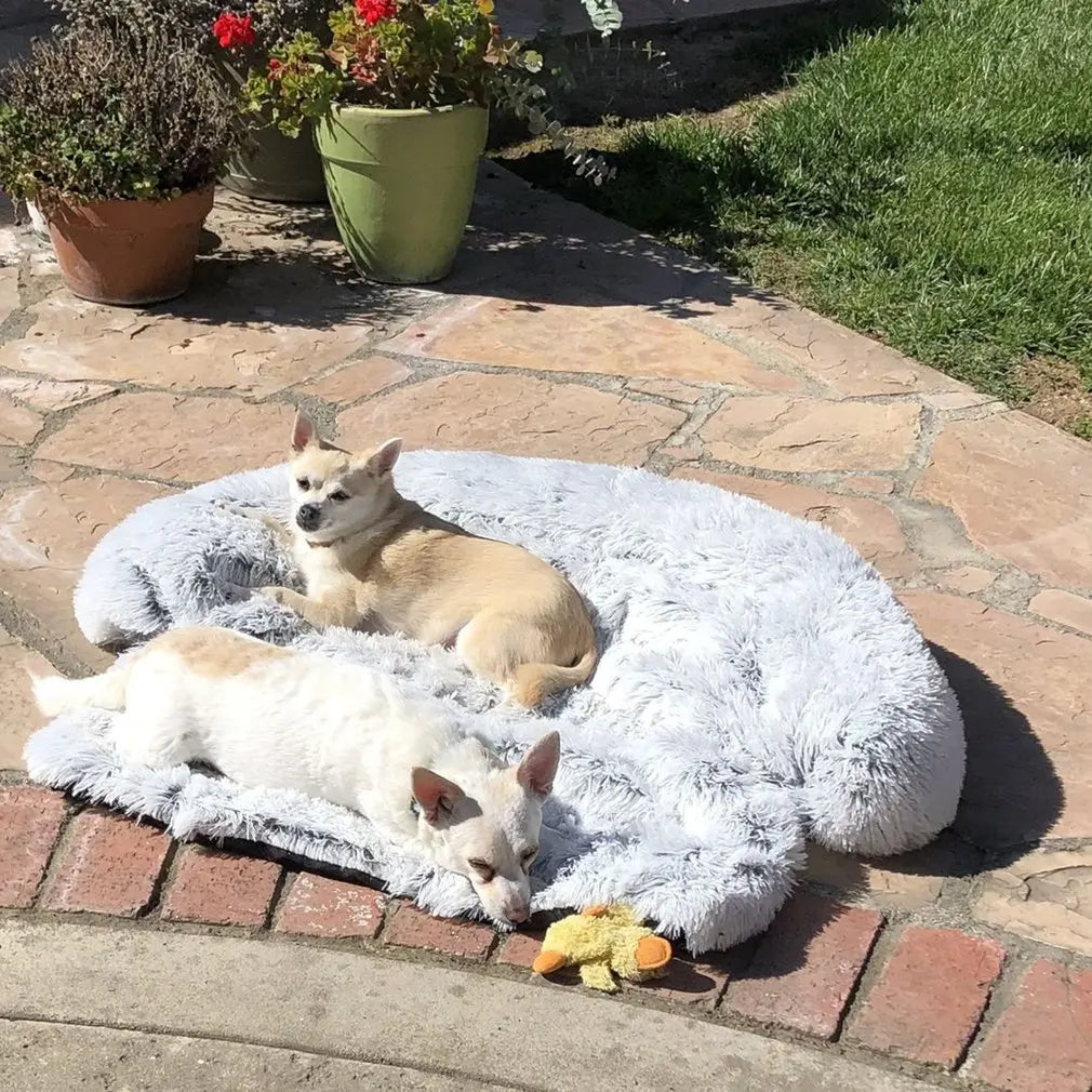 Coperta lavabile per divano per animali domestici - PlushNest