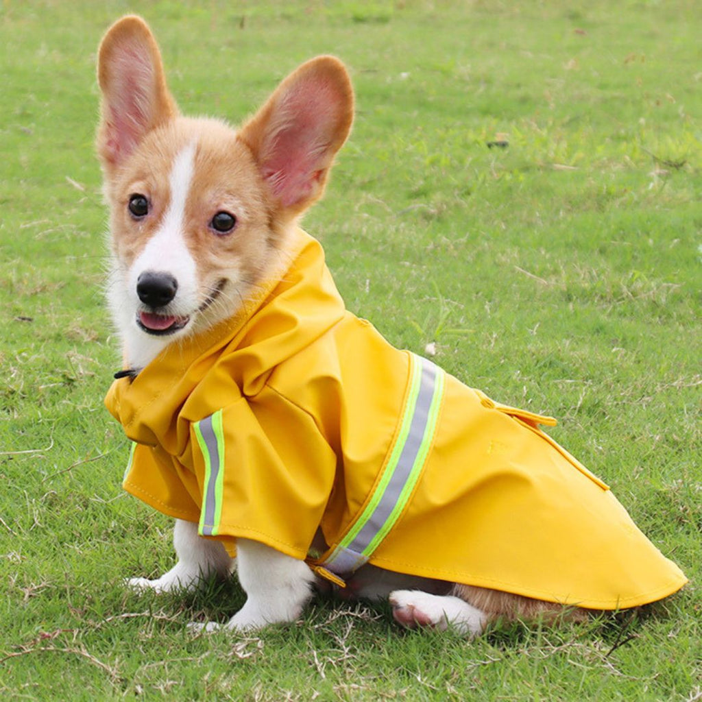 Cappotto impermeabile per cani - StormPaw