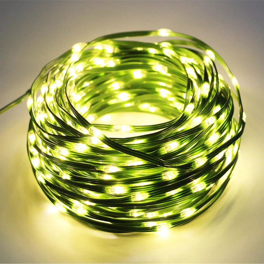 Luci natalizie per esterni a LED multicolore a corda