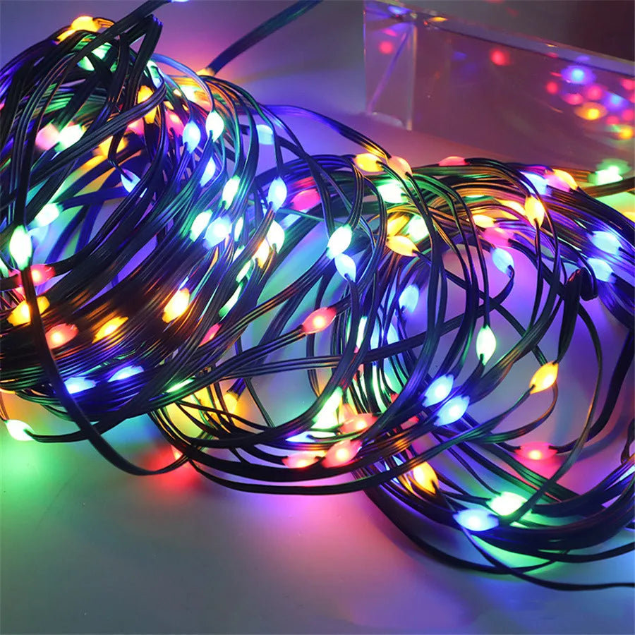 Luci natalizie per esterni a LED multicolore a corda