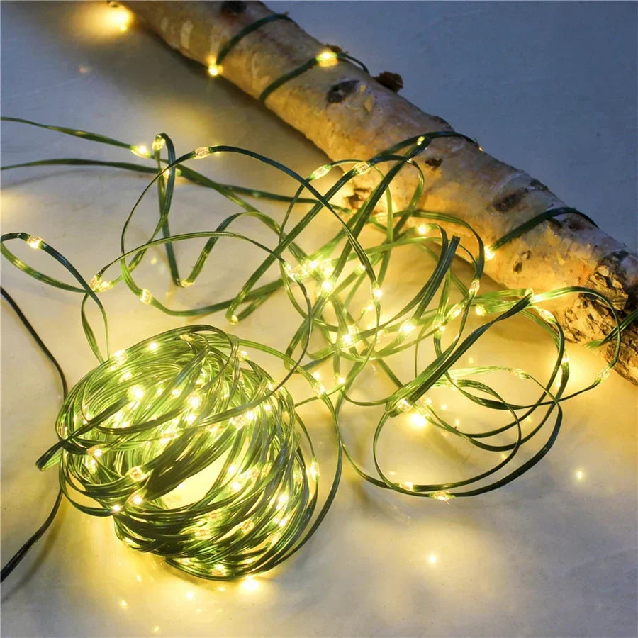 Luci natalizie per esterni a LED multicolore a corda