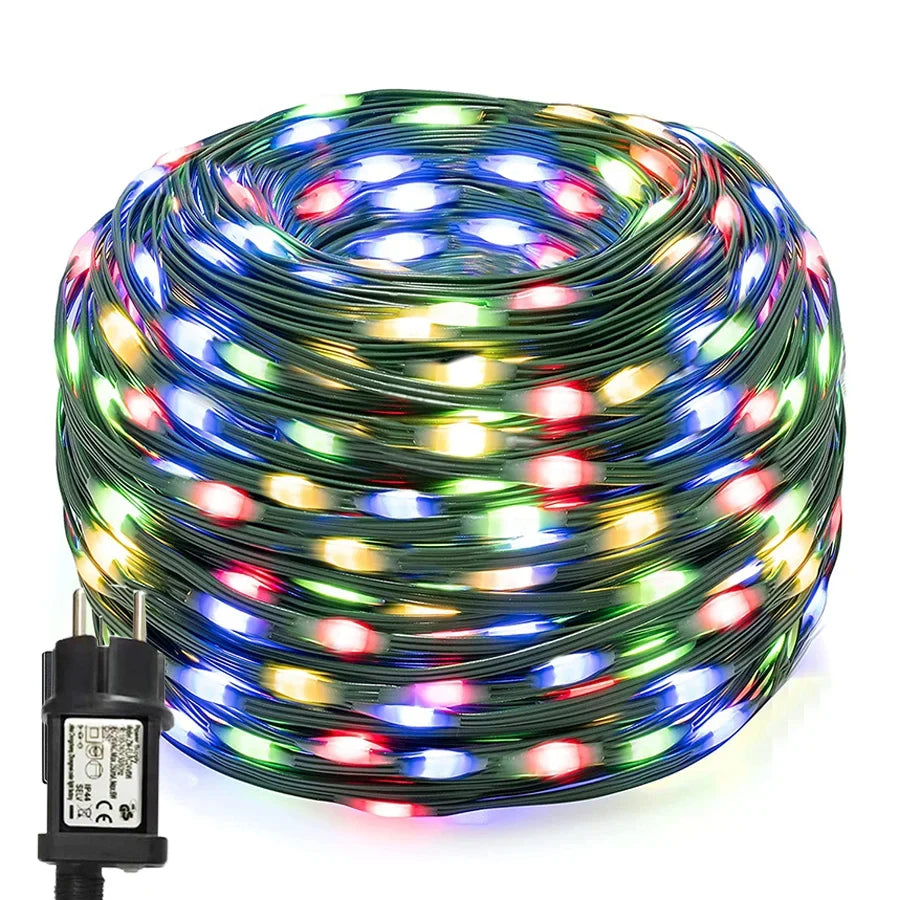 Luci natalizie per esterni a LED multicolore a corda