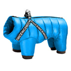 Cappotto invernale per cani - ArcticPaws